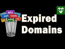 Scrapebox Expired Domain Finder Plugin For Cheap Pbns