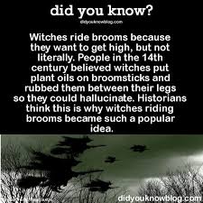 Son Of A Witch Meme By Snowman007 Memedroid