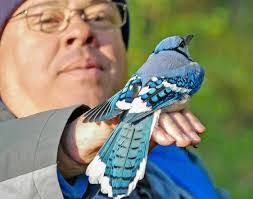 Ian Auger's Instagram, Twitter & Facebook