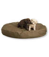 Pin On Dog Beds For Large Dogs With Hip Problems