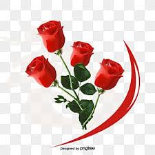 Rose Love Rose Flowers Love Png Transparent Clipart Image And Psd File For Free Download In 2020 Beautiful Love Images Love Png White Rose Flower