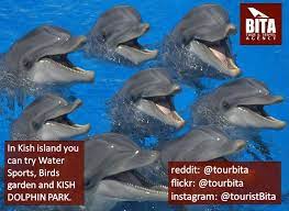 In Kish Island You Can Try Water Sports Birds Garden Kish Dolphin Park Greek Ship Shopping Center Kish Diving Dolphins Cute Animal Pictures Marine Mammals