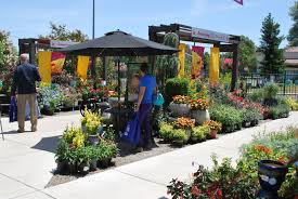 Armstrong Garden Centers Garden Center Summer Tour Garden