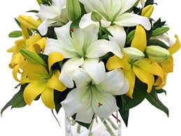 The acidifier also stabilizes the flower's pigment, keeping its bright color. Extending Life Of Cut Flowers 2 The Guardian Nigeria News Nigeria And World News Saturday Magazine The Guardian Nigeria News Nigeria And World News