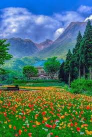 You Flow Like A Feather In A Beautiful World Birresimkaydet Saveanimage Barissenduran Resim Kaydet Save Image Picture Beautiful Nice Guzel Harik Doga Peyzaj Duzenlemesi Fikirleri Muhtesem Doga