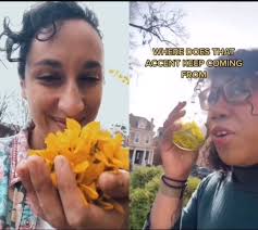 IT’S THAT TIME OF YEAR 🌼 everything is blooming and we’re making flower  syrups!, •, Made this video a few years back with one of our favorite  foragers/creators @blackforager following her VERY SIMPLE ...