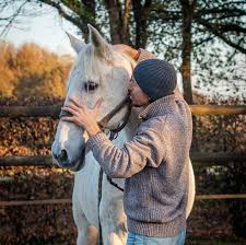 Vétérinaire ostéopathe équin Acupuncteur Chevaux Chiens Pferd horse