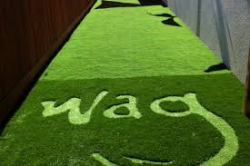 Bay city news reports that the doggie park is an addition to lafayette park, and is one of the few public parks in sf specifically. Wag Pet Hotel Artificial K9 Grass Play Areas For Dogs Artificial Grass Installer Tuffgrass