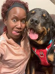 Dogs showing love and affection