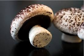 Meringue Mushrooms For My Buche De Noel Stuffed Mushrooms Meringue Mushrooms Meringue