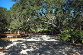 Florida Panhandle And Grayton Beach State Park Campsite Photos