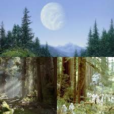 The Forrest Moon Of Endor Home Of The Ewoks Star Wars Images Endor Strange Magic