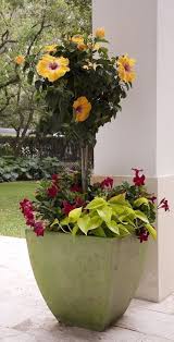 Tropicals Turn Backyard Into A Staycation Paradise Plants Around Pool Container Gardening Flowers Plants