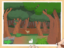 The rainforest is home to lots of species of animals. 3 Ways To Draw A Forest Wikihow