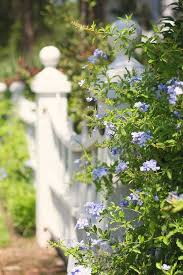 pin on in the garden