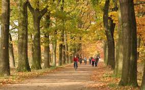 Nu, 200 jaar na hun ontstaan, laten de kolonies een zeer typerend en rustgevend landschap achter. Wortel Kolonie Agentschap Voor Natuur En Bos