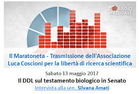 Image result for emittenti tv reggio emilia 1981 2021 loghi marche