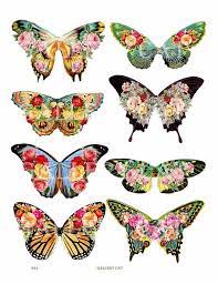 All species, except vandagyre zones affected: Fairy Wings Digital Collage Sheet Download And Print Paper Etsy Digital Collage Sheets Collage Sheet Digital Collage