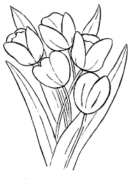 Berikut ini adalah gambar bunga dari beragam jenis yang bisa kalian jadikan contoh. Gambar Mewarnai Bunga Tulip Terbaru Gambarcoloring