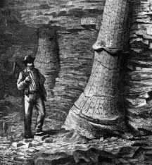 Andrew Tebbs Stories from Carr Vale and New Bolsover