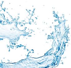 Aquatics Programming at South Elgin Parks & Rec
