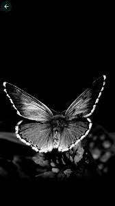 Search free black wallpapers on zedge and personalize your phone to suit you. Dark Wallpapers 4k Black Wallpaper Hd Amazon De Apps Spiele