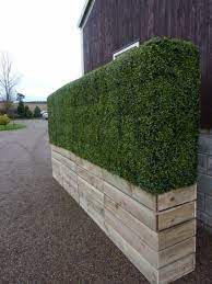 Evergreen Direct Artificial Bespoke Hedge Options Artificial Plants Outdoor Artificial Plants Indoor Artificial Plants Decor