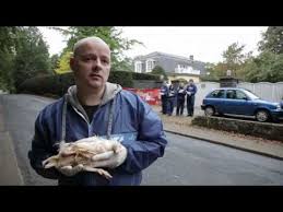 So einfach hat er 10 kilo abgespeckt! Peta Protest Bei Dieter Bohlen Wegen Seiner Wiesenhof Werbung Youtube