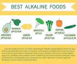 You might have noticed that our list of alkaline foods is lacking dairy products, except. List Of Alkaline Foods Alkaline Foods Are Foods That Raise Royalty Free Cliparts Vectors And Stock Illustration Image 71190792