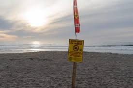 Maggie Grainger: Aztec Beats