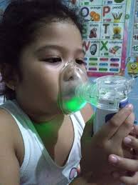 I FERN Philippines NCR