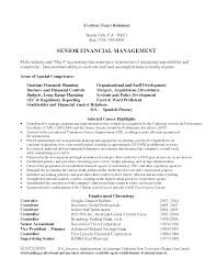 Big 4 Cv Template Resume Examples Professional Resume Examples Accountant Resume Resume Examples
