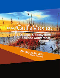 Pdf Current And Future Ecosystem Monitoring Strategies In The Gulf Of Mexico Spanning Disciplines Platforms And Affiliations