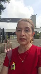 CENEFA COPOS DE NIEVE ... Noel