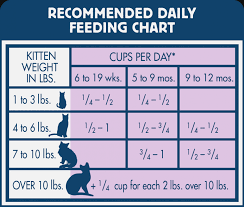 Blue Buffalo Cat Food Feeding Chart Blue Buffalo Dog Feeding