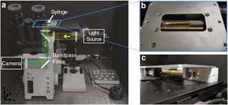 However, even if you are wearing a belt without a metal. Method To Determine Syringe Silicone Oil Layer Heterogeneity And Investigation Of Its Impact On Product Particle Counts Sciencedirect