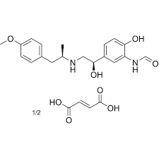 Image result for Formoterol