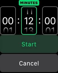 You can pause and resume the timer anytime you want by clicking the timer controls. 10 Reasons To Get An Apple Watch Podfeet Podcasts