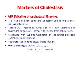 Liver Function Test