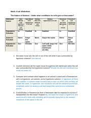 Maybe you would like to learn more about one of these? 3 Compare And Contrast What Happens To An Animal A Plant And A Paramecium Cell Course Hero