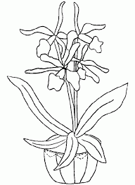 Un modo di realizzare delle belle opere al naturale, coi colori del vostro sceglio. Disegni Da Colorare Tema Fiori