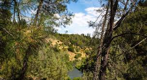 Maybe you would like to learn more about one of these? Russian River Camping Resort One Bedroom Cabin 1 Cloverdale Ca 2021 Updated Deals Hd Photos Reviews