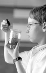 Victorian Curriculum and Assessment Authority