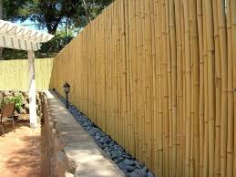 In recent years, bamboo has become a very popular garden plant and is preferred by many people. 15 Creative And Inspiring Garden Fence Ideas Home And Gardening Ideas Fence Landscaping Diy Garden Fence Bamboo Privacy Fence