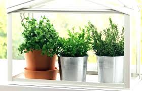 Image result for seeds garden ideas