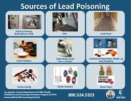 Image result for Lead Poisoning