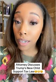 Child Support Law Explained by Family Law Attorney