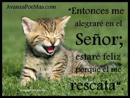 Imagenes Cristianas Con Versiculos Biblicos De Amor Y Fe En Dios Animales Bebes Gatitos Bebes Animales Sonrientes