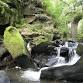 Stephen Oldfield: Supernatural Rossendale event image
