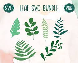 Latrisha Jackson's Instagram, Twitter & Facebook